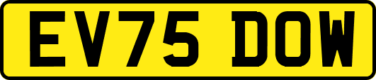 EV75DOW