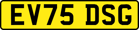 EV75DSG