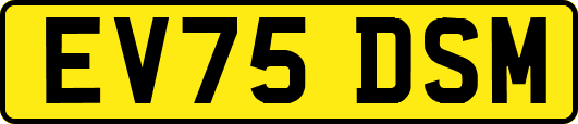 EV75DSM