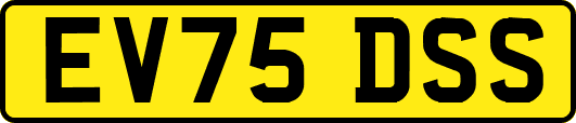 EV75DSS