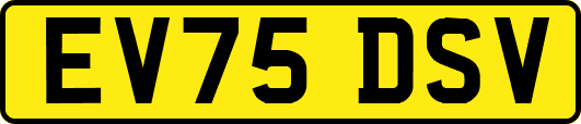 EV75DSV