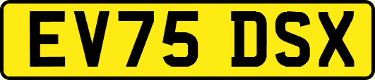 EV75DSX