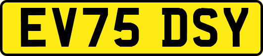 EV75DSY