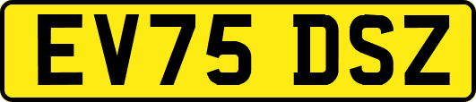 EV75DSZ