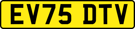 EV75DTV