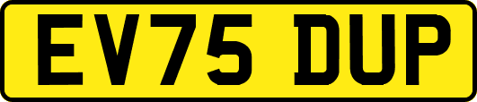 EV75DUP