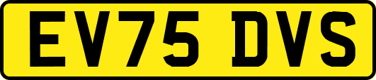 EV75DVS