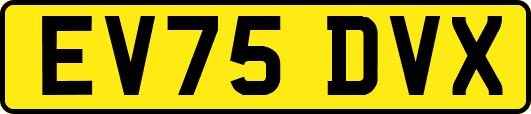 EV75DVX