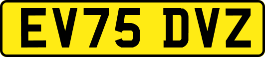 EV75DVZ