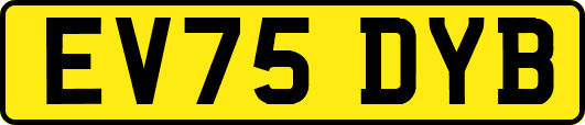 EV75DYB