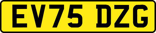 EV75DZG