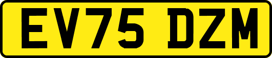 EV75DZM