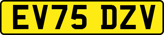 EV75DZV