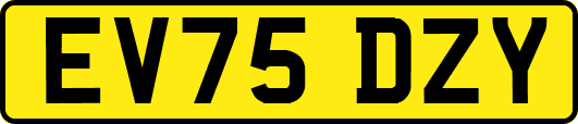 EV75DZY