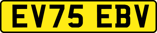EV75EBV