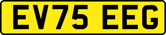 EV75EEG