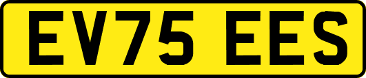 EV75EES