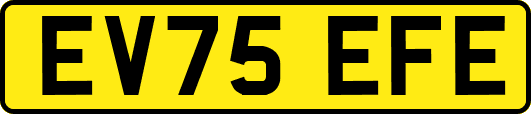EV75EFE