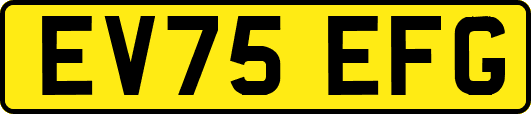 EV75EFG