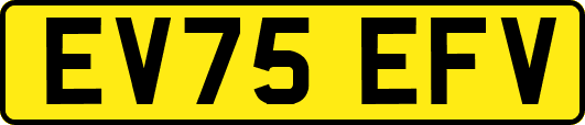 EV75EFV