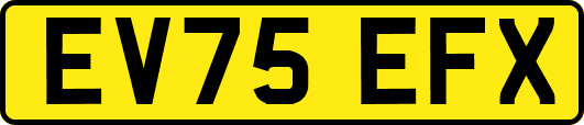 EV75EFX
