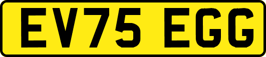 EV75EGG