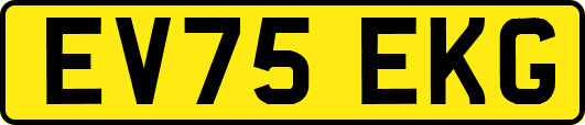 EV75EKG