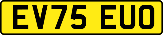 EV75EUO