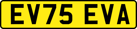EV75EVA