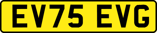 EV75EVG