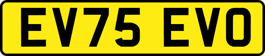 EV75EVO