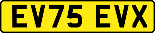 EV75EVX