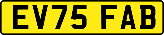EV75FAB