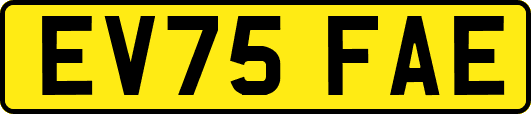 EV75FAE