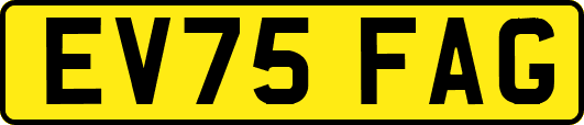 EV75FAG