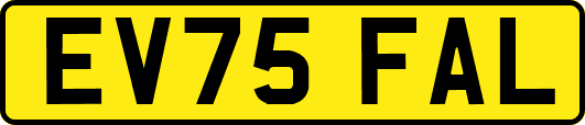 EV75FAL