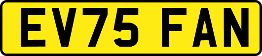 EV75FAN