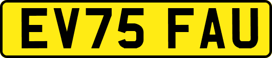 EV75FAU