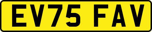 EV75FAV