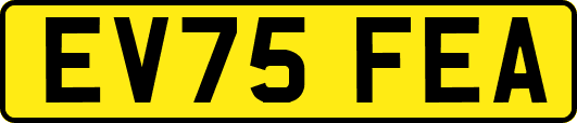 EV75FEA