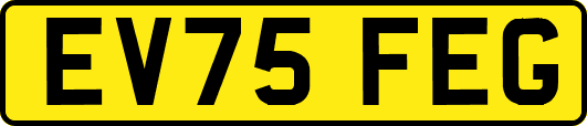 EV75FEG