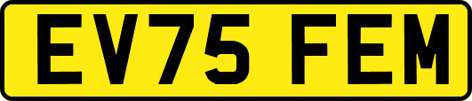 EV75FEM