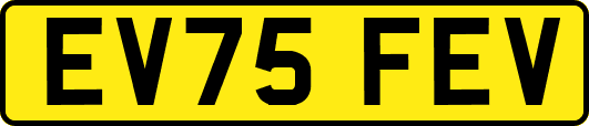 EV75FEV