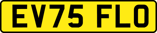 EV75FLO