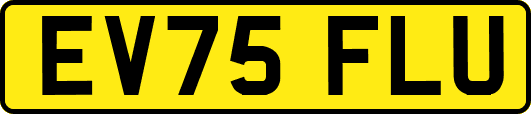 EV75FLU