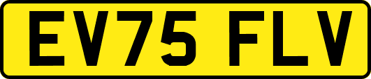 EV75FLV