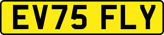 EV75FLY