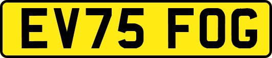 EV75FOG