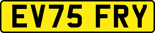EV75FRY
