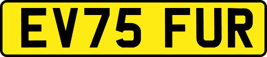 EV75FUR